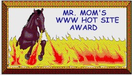 Mr. Mom Hottest Site Award