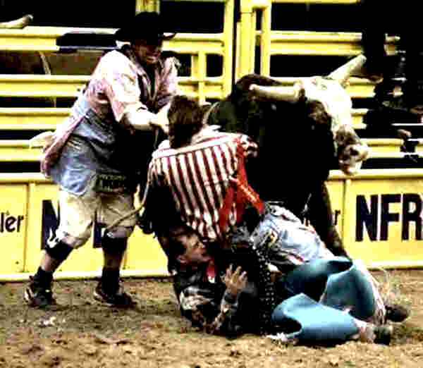 Rodeo clowns save lives regularly